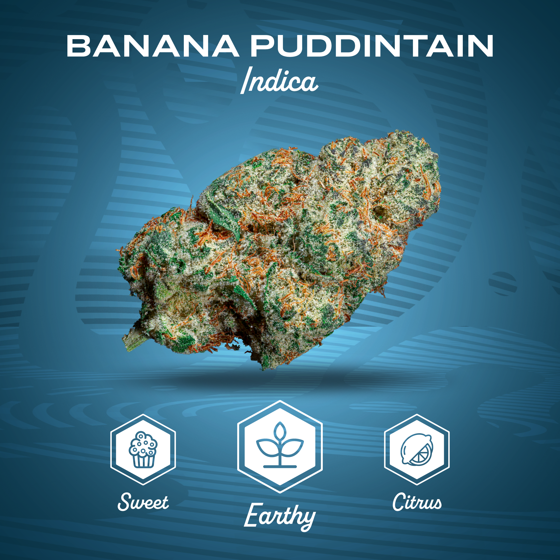 Photograph of product: Flower | Mission | Banana Puddintain - 7g