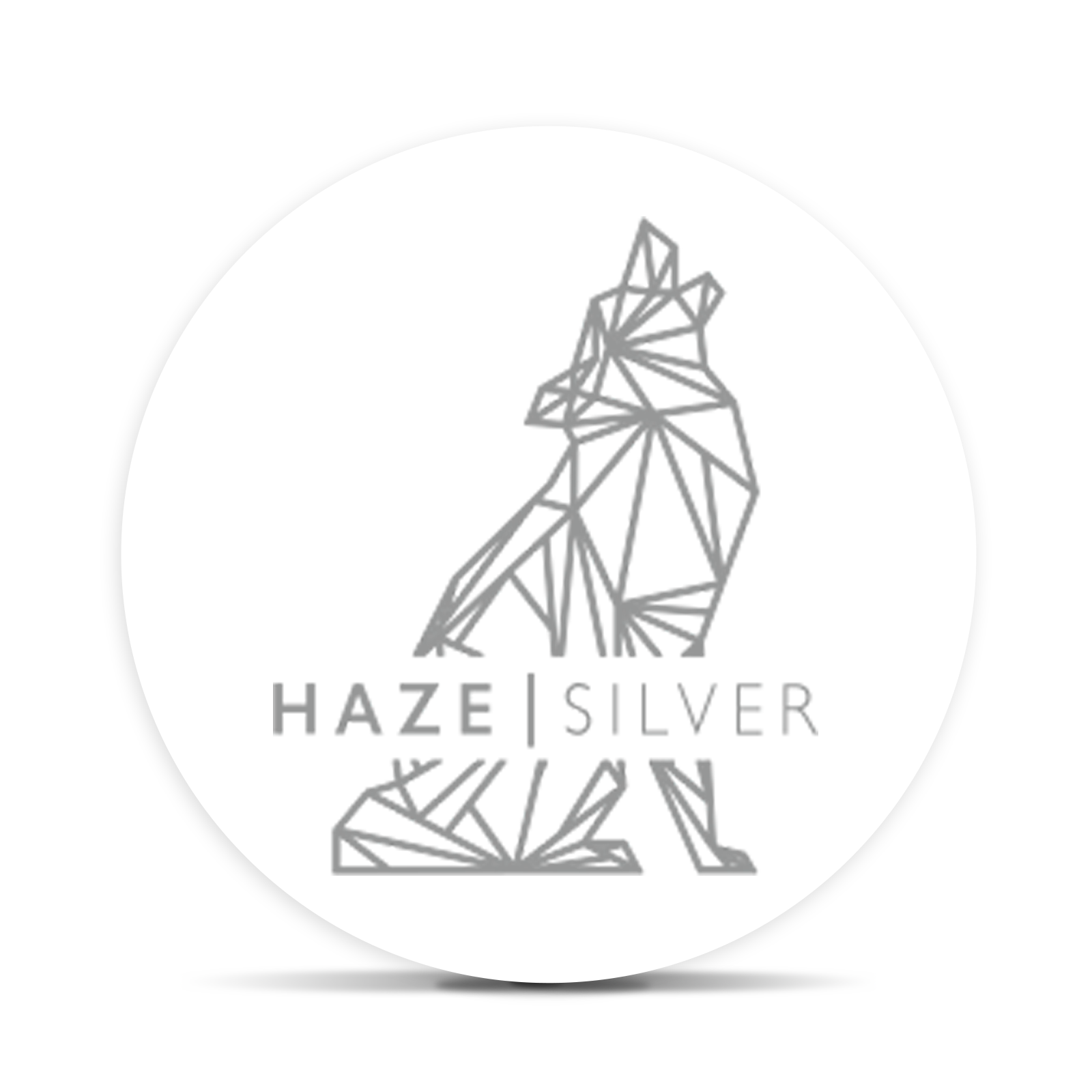 Logo for img-fluid: Haze | Silver