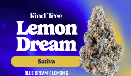Photograph of product: Kind Tree | Lemon Dream | 3.5g