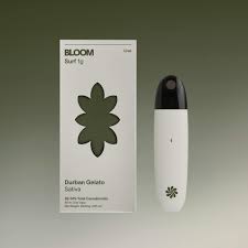 Photograph of product: Durban Gelato  | 1g AIO Oui'd Disposable