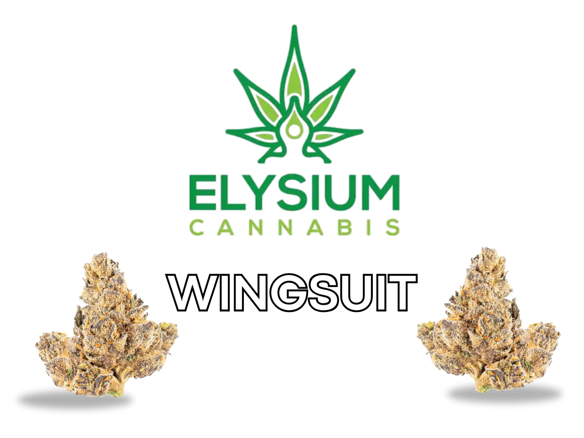 Photograph of product: ELYSIUM | WINGSUIT HYBRID - 3.5g