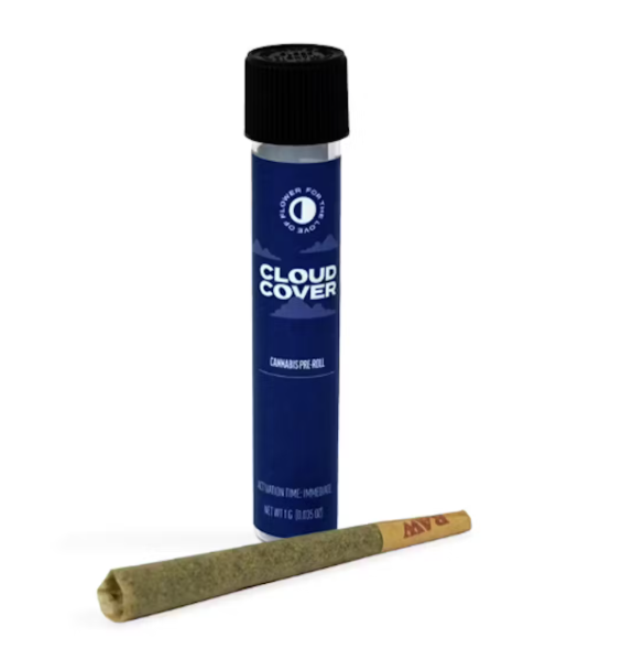 Photograph of product: Dubble Cup (IH) - Pre-Roll Pack (.5gx2)