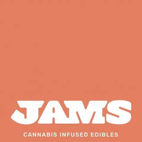 Photograph of product: JAMS | Peach | 10pk Jellies