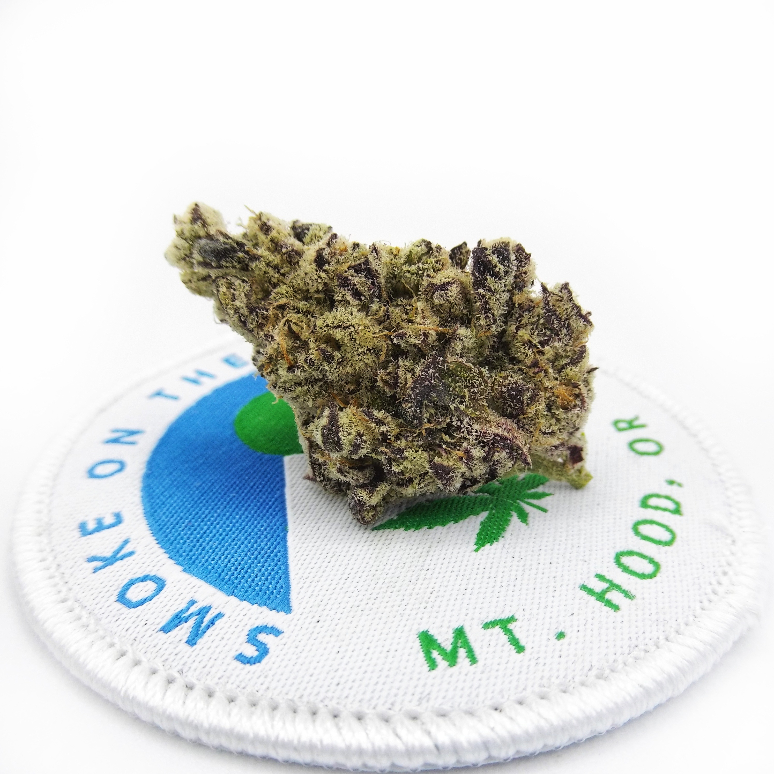 Photograph of product: Trapzilla Oui'd Flower