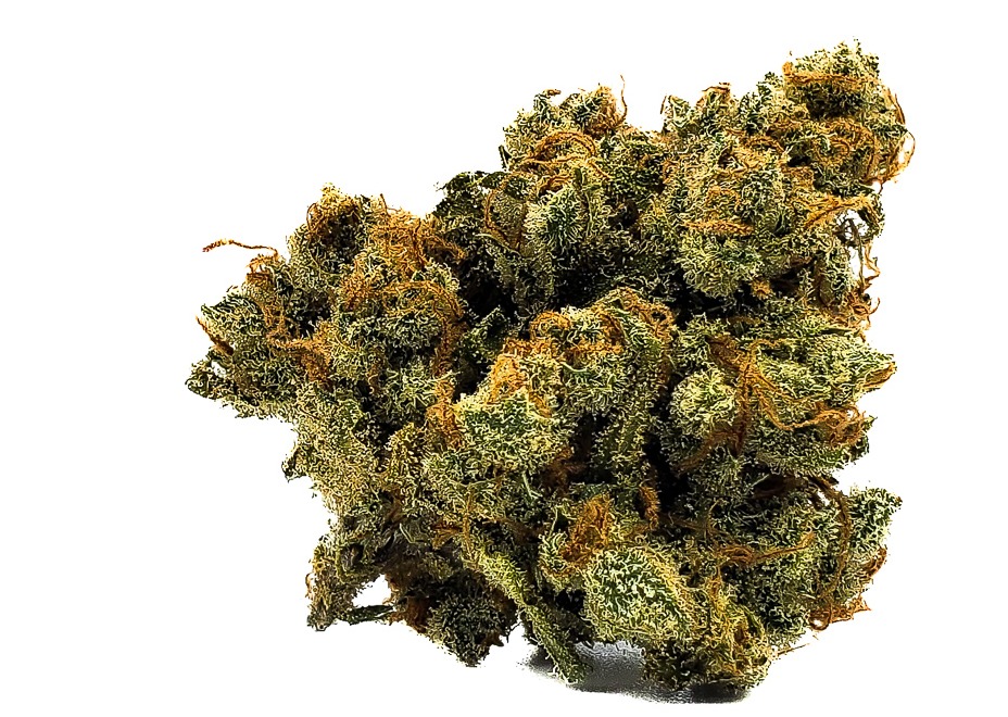 Photograph of product: Focus North | Colorado Sunshine - 28g