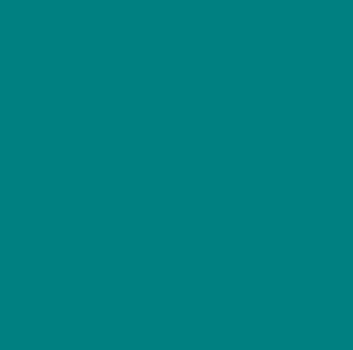 Photograph of Product: Shirt - Tamarack Whitefish $15 - Teal