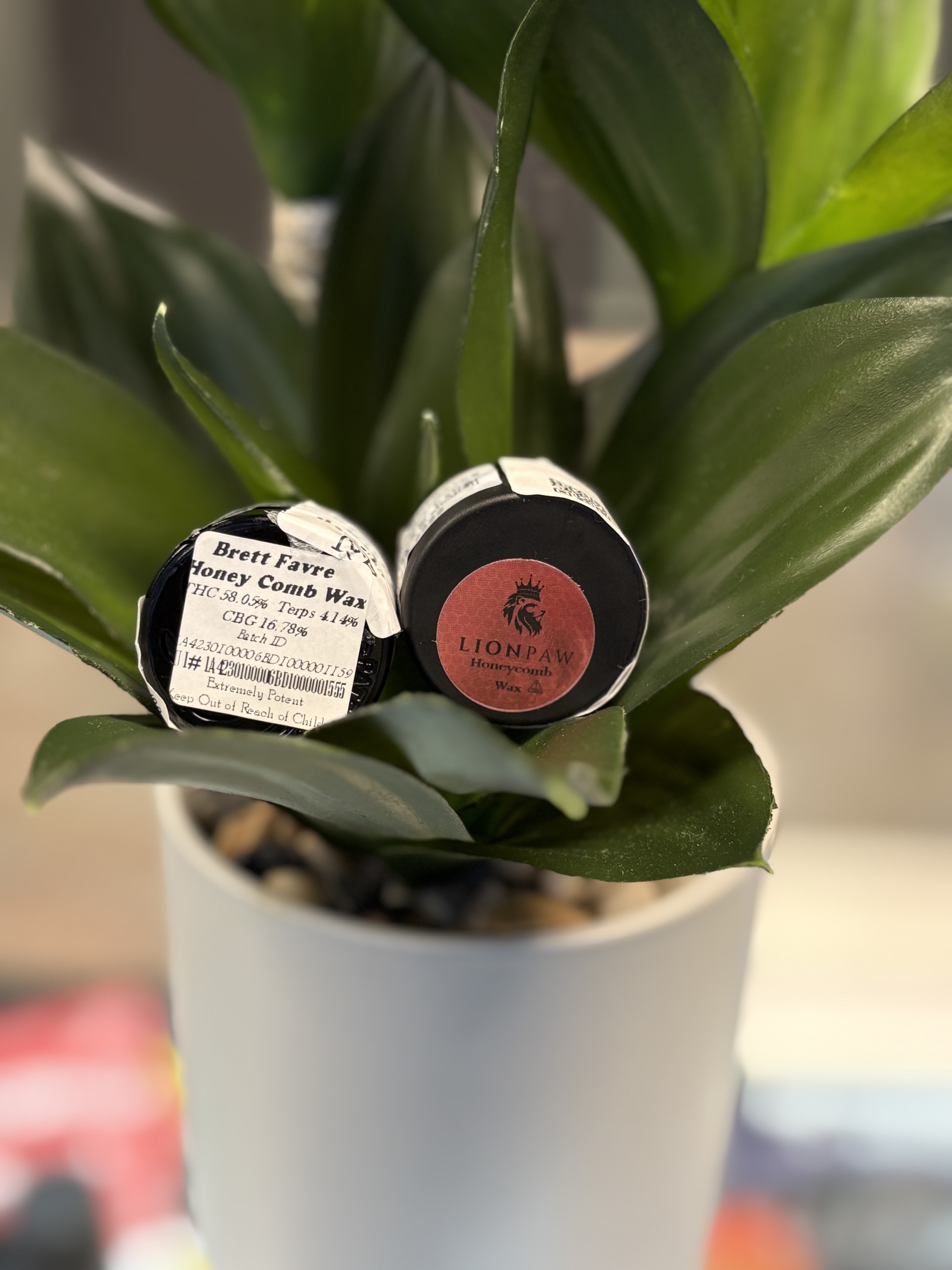Photograph of product: Lion Paw | 1g | Brett Favre | Honey Comb Wax