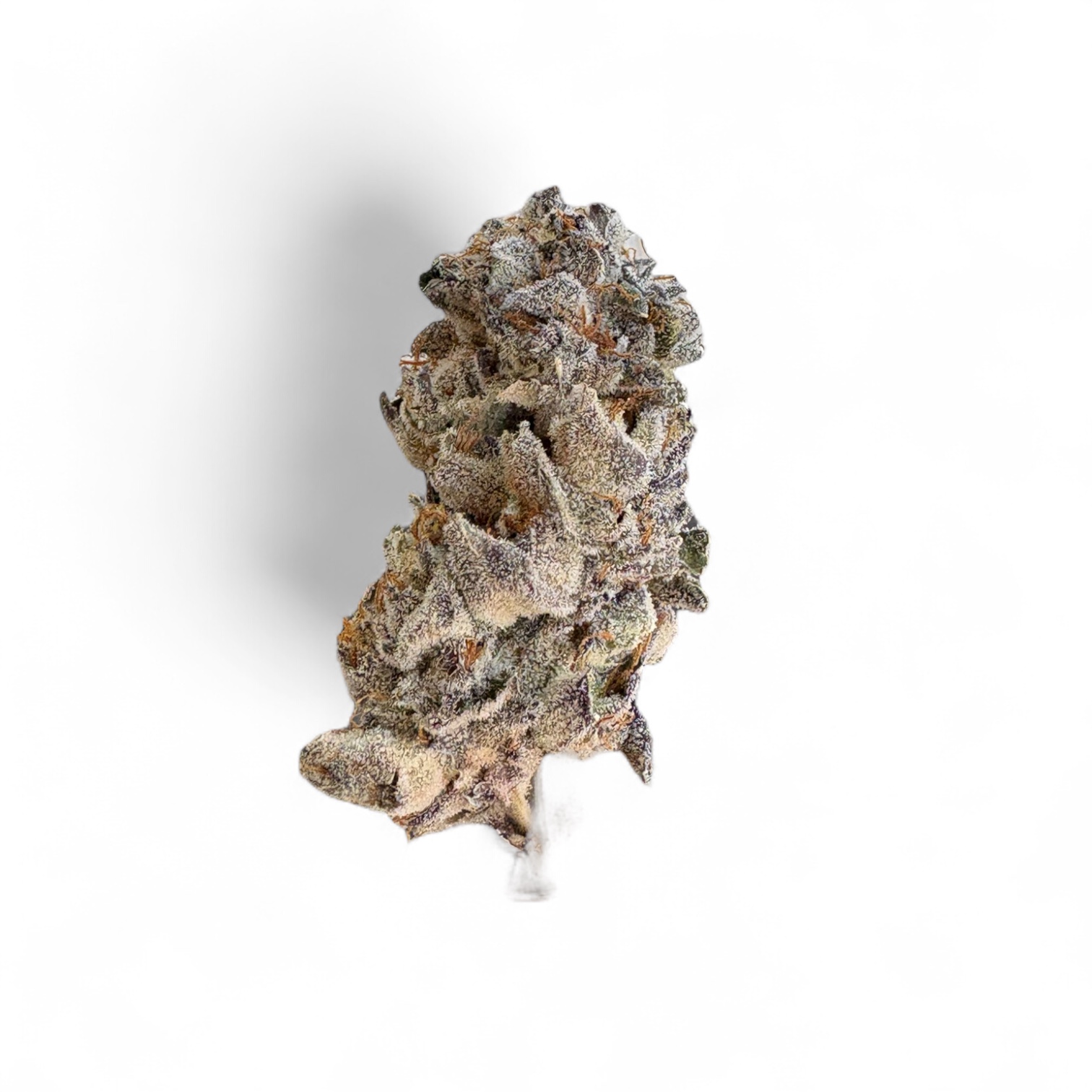 Photograph of product: Jokerz NOS - 28g