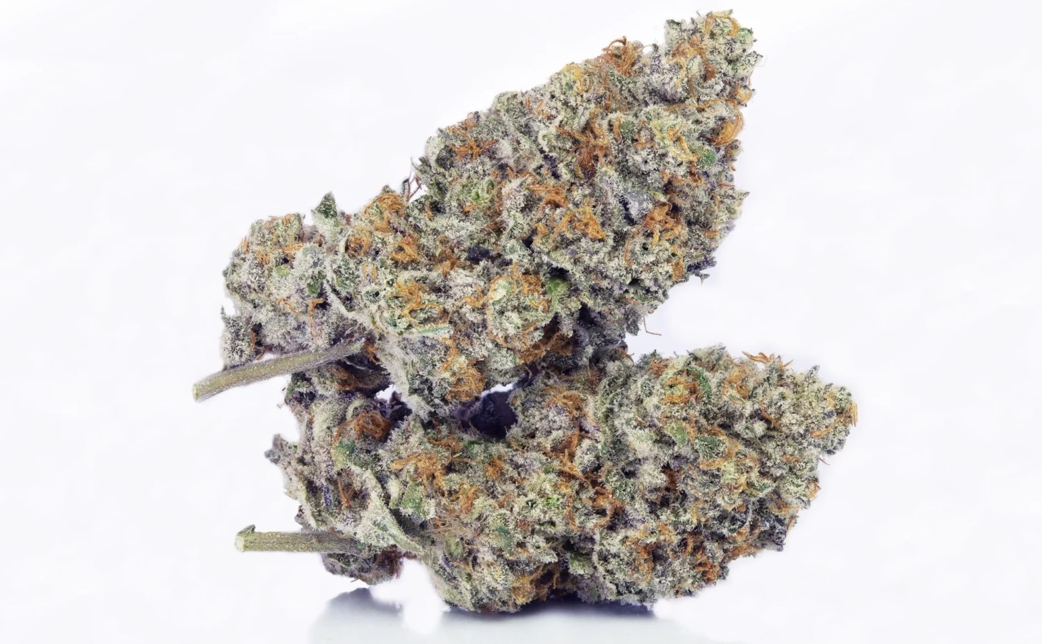Photograph of product: Blue Nerdz Flower by Vanilla Sunshine - 28g