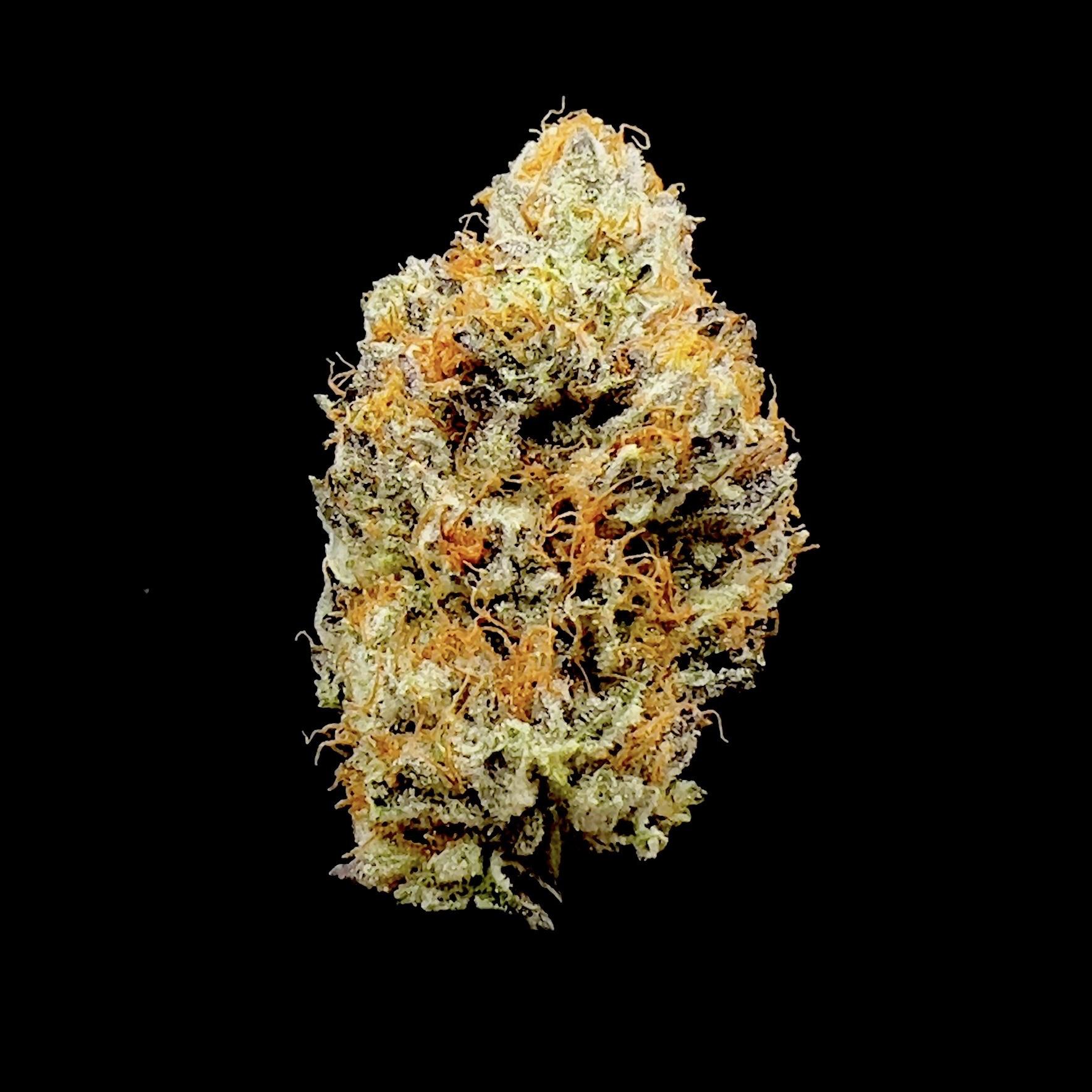 Photograph of product: Noblecraft Oui'd NY Cheese - 7g