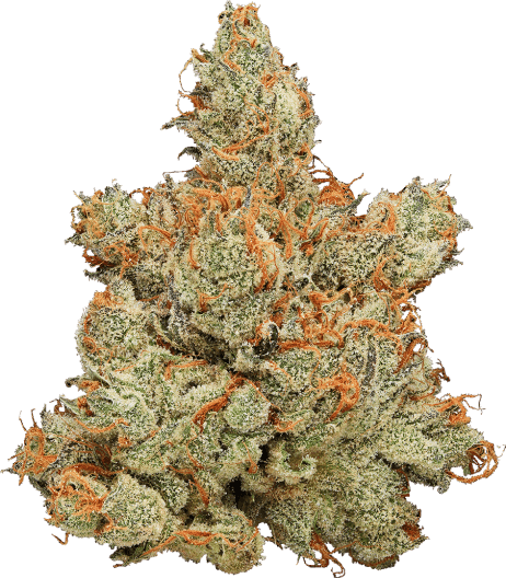 Photograph of product: Diamond Dust | Flower - g