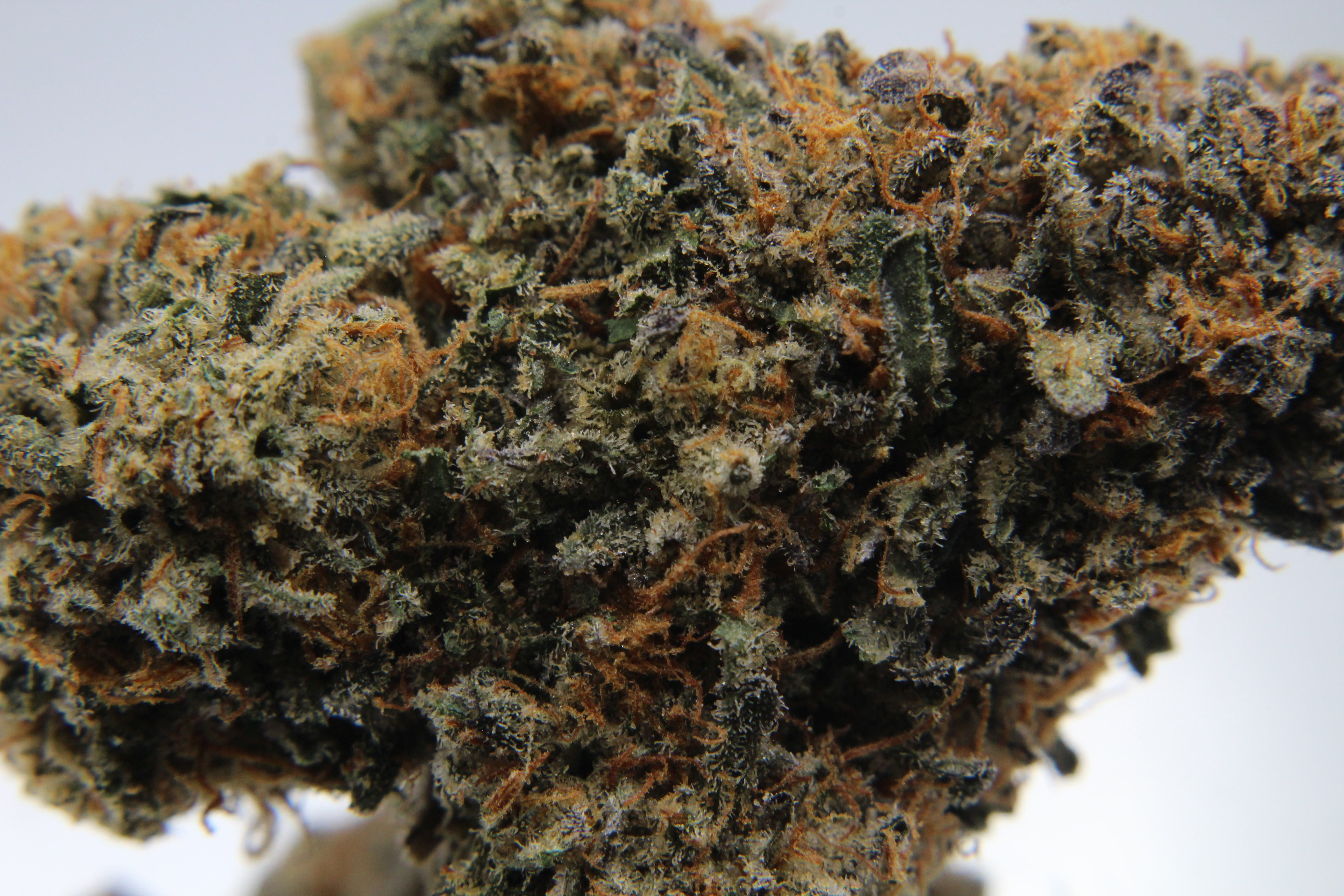 Photograph of product: Derby's Farm | Deleted Scene| Oui'd | Bulk Flower | - 14g