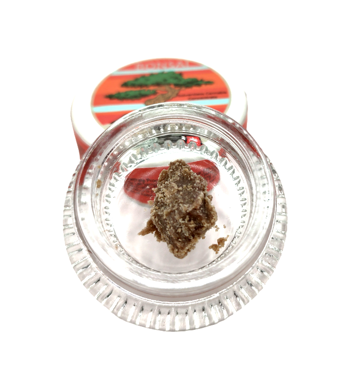 Photograph of product: Bonsai 1g au chocolat | Cherry Paloma