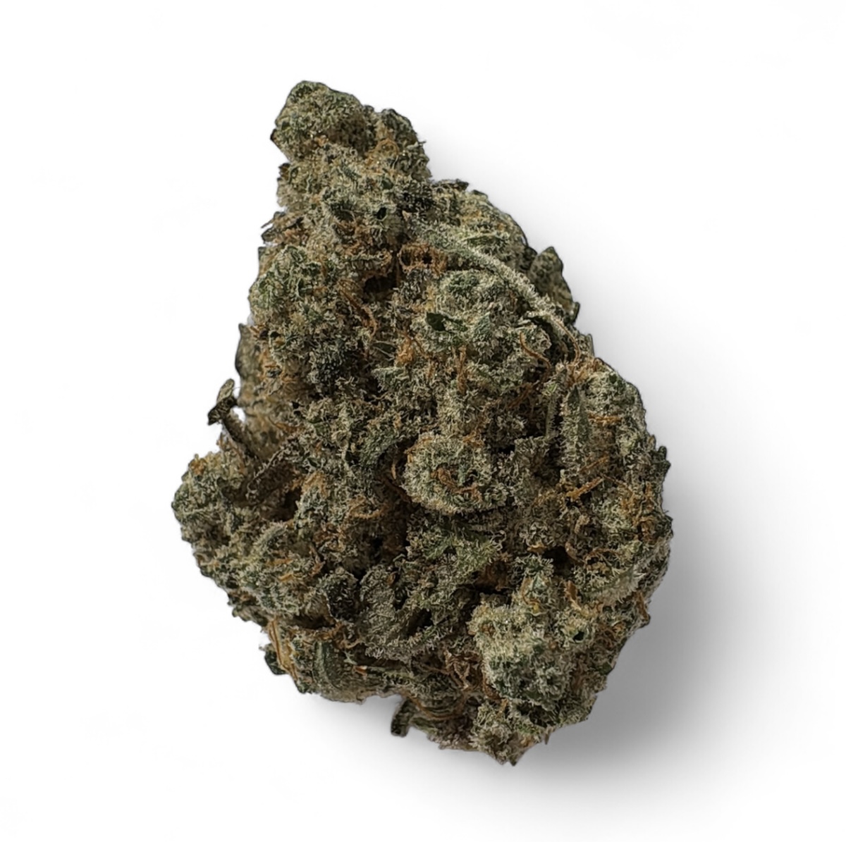Photograph of product: Forte': Ghost Train Haze (S) - 28g