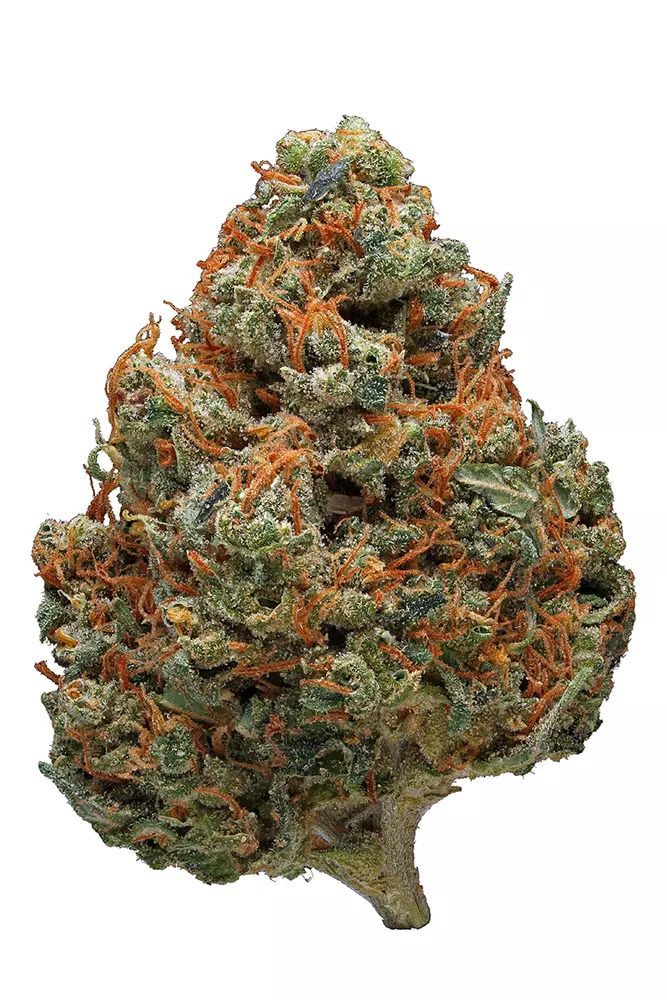 Photograph of product: Durban Poison Flower - 3.5g