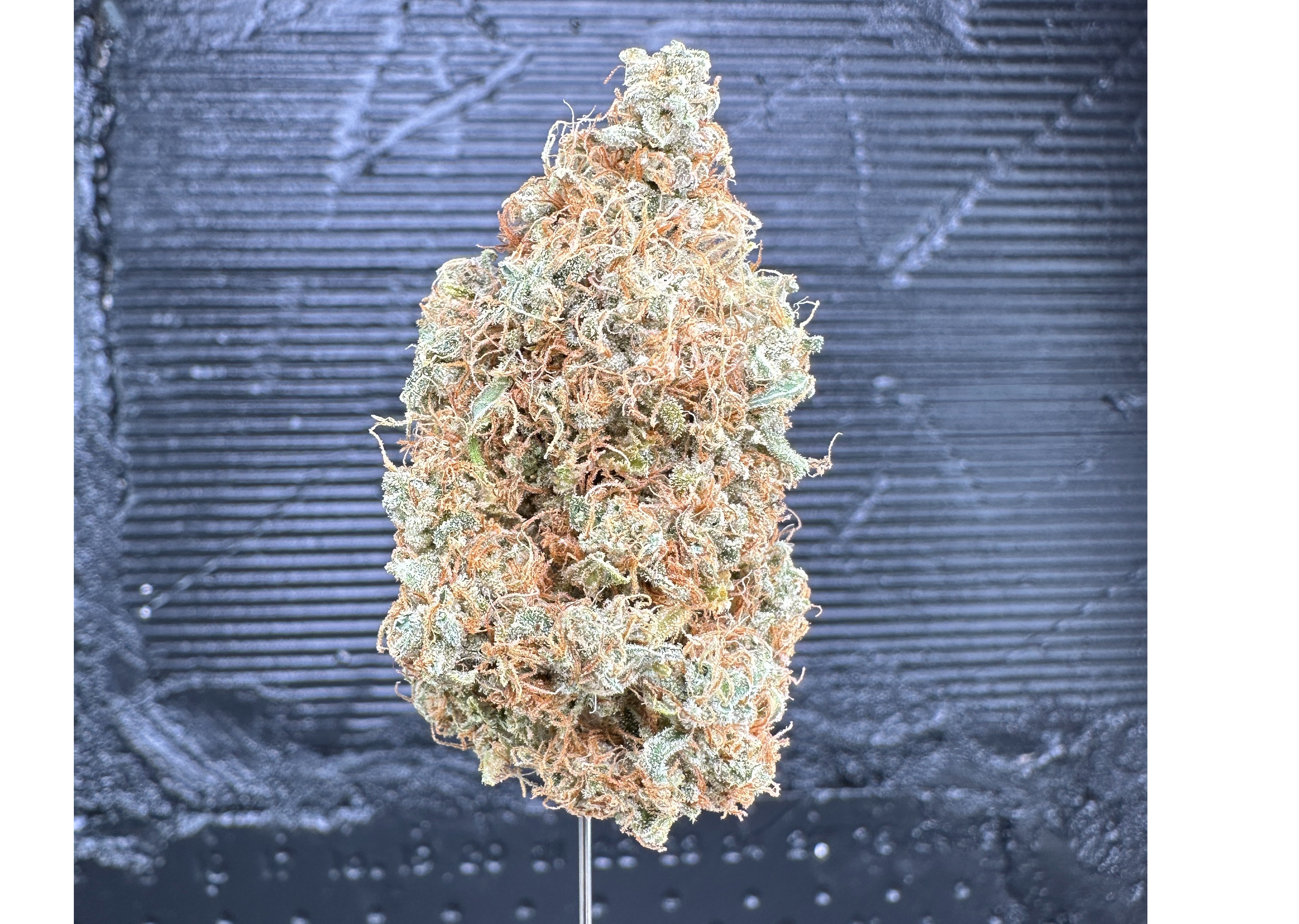 Photograph of product: Dream Girl #1 - 14g
