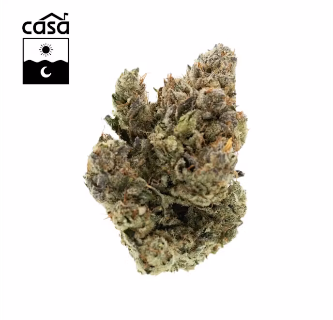Photograph of product: 7g Super Knot | TAX INCLUDED