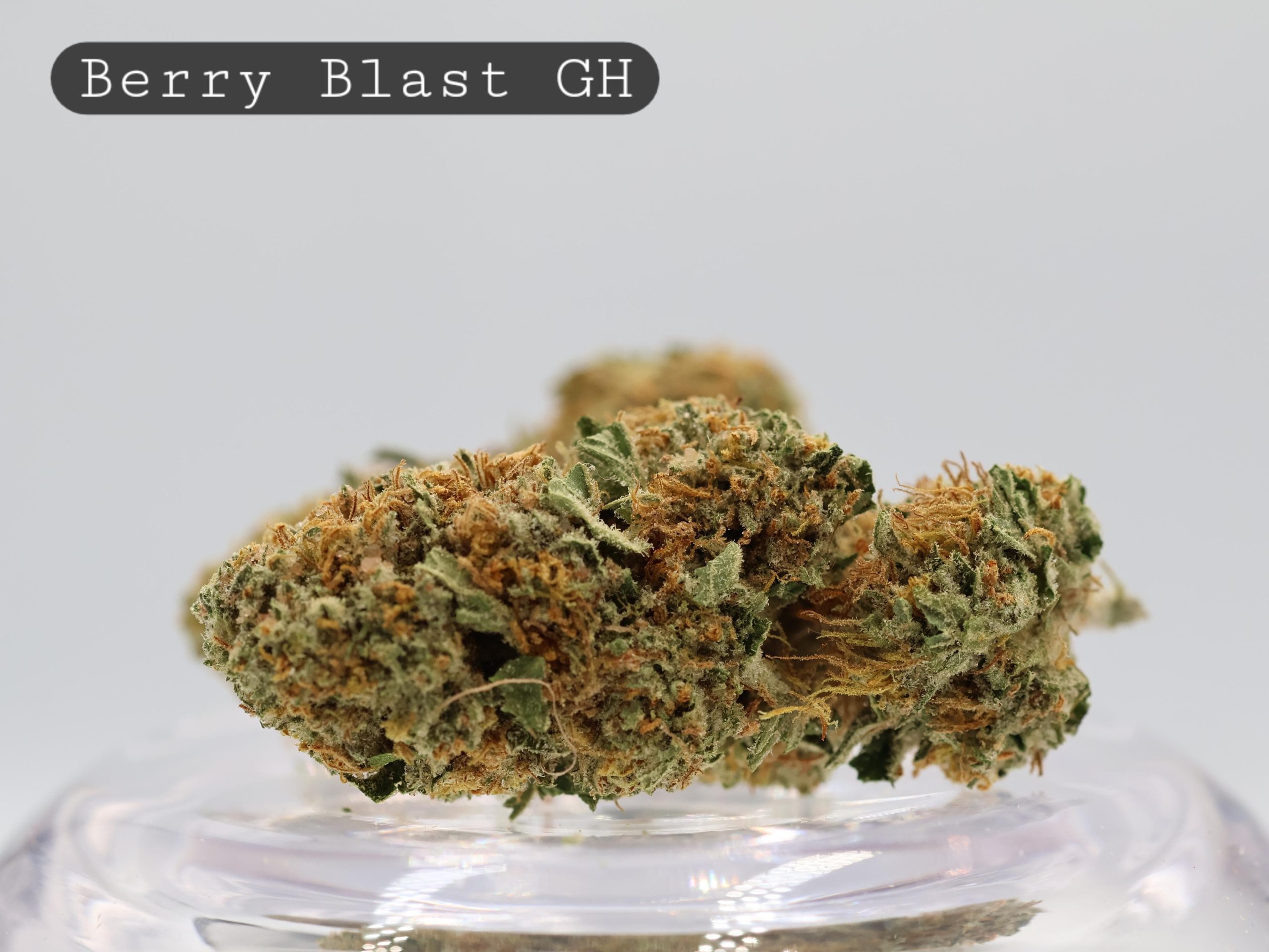 Photograph of product: Berry Burst - 1g