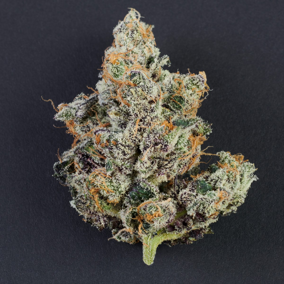 Photograph of product: Impressed Truffle Cake 3.5g