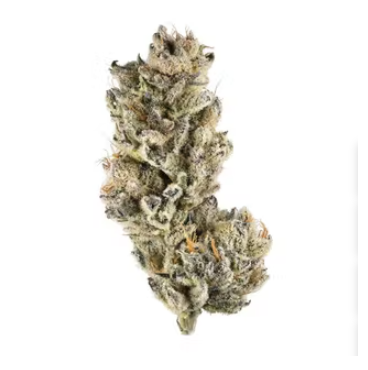 Photograph of product: Sunmed | Purple Punch | 3.5g