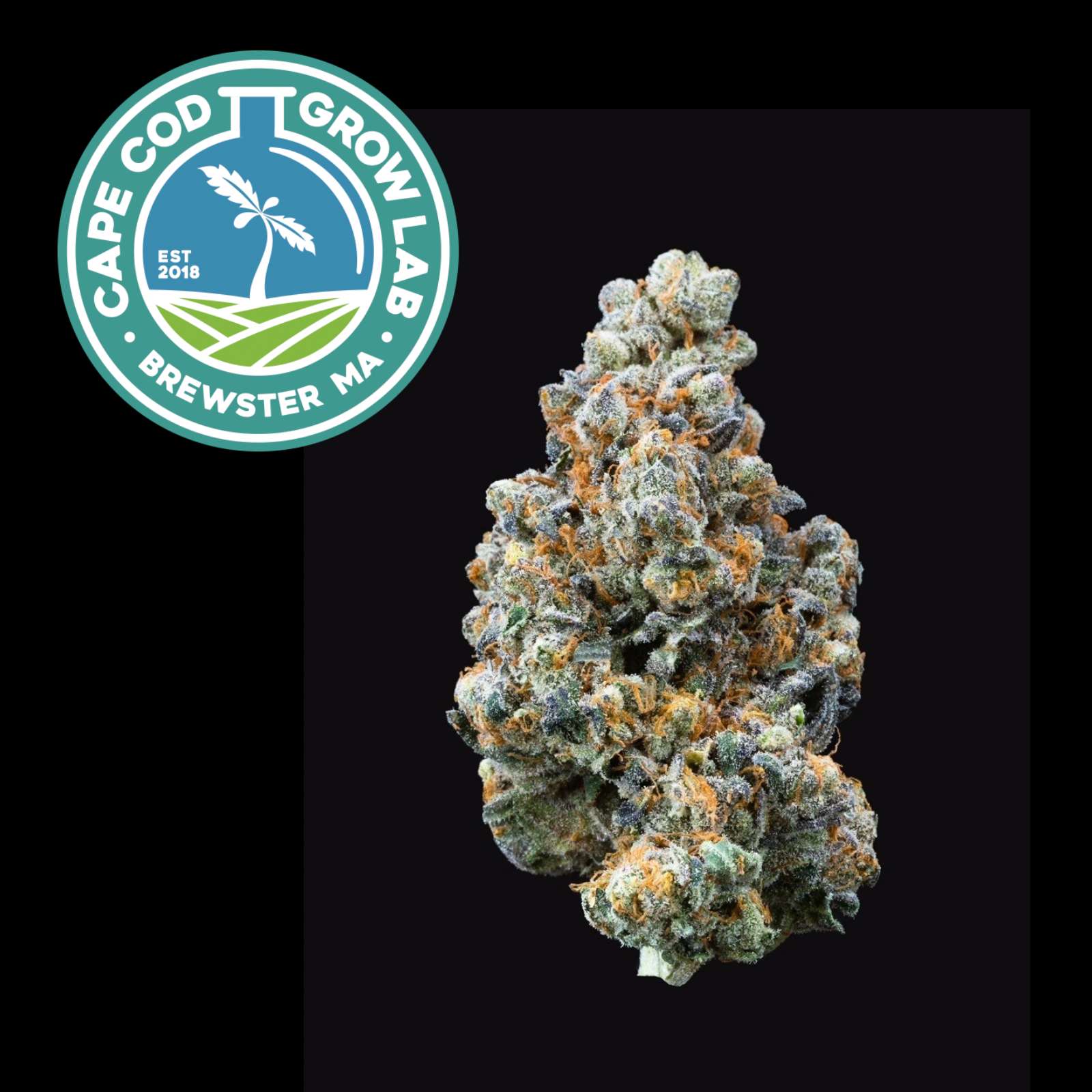 Photograph of product: Velvet Pound Cake (3.5g Flower)