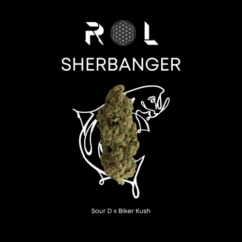 Photograph of product: Flower | Sherbanger - 3.5g