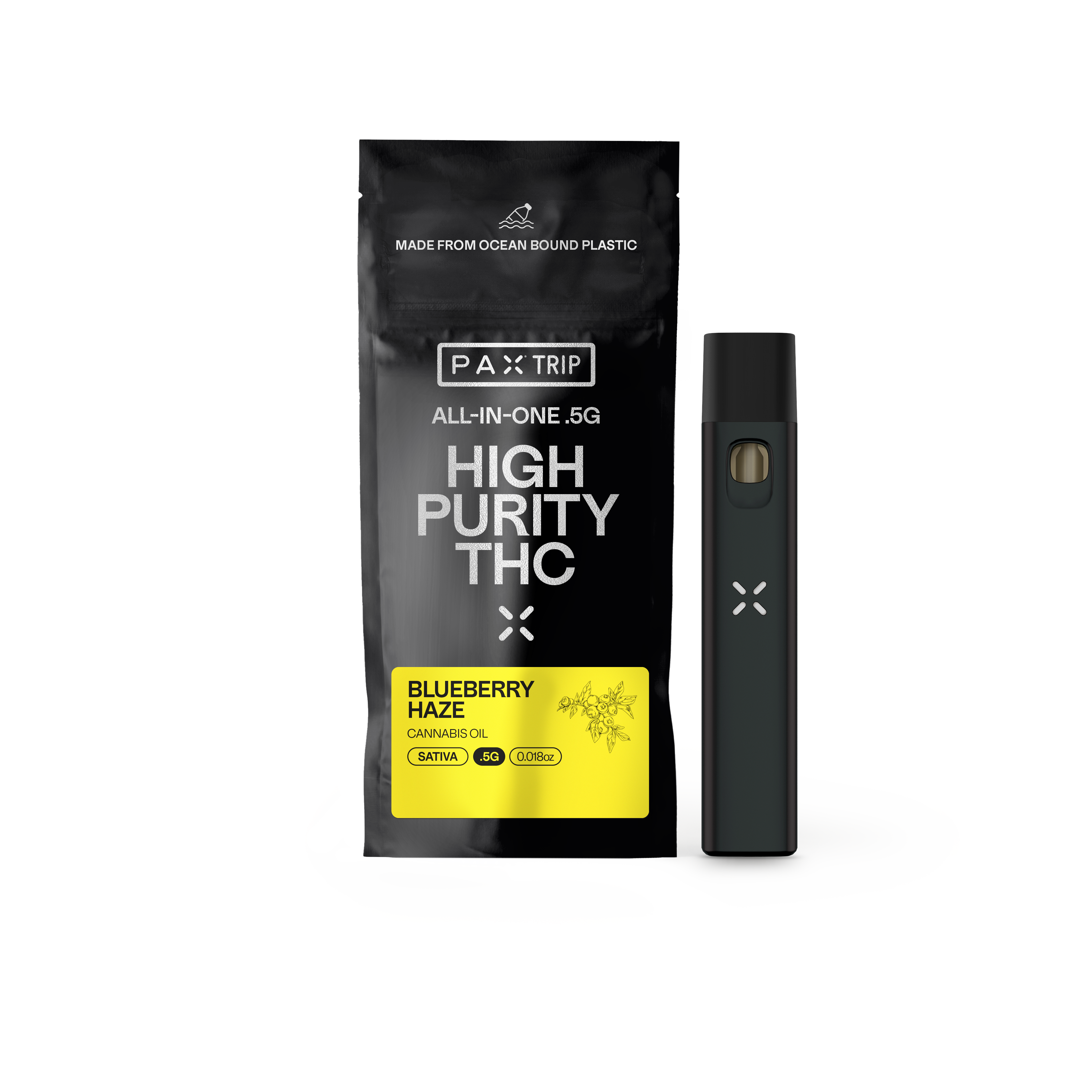 Photograph of product: 1000mg Disposable PAX | Blueberry Haze | Temple Hill