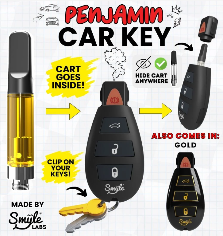 Photograph of product: Smyle Labs | Car Key Penjamin 510 Thread Battery