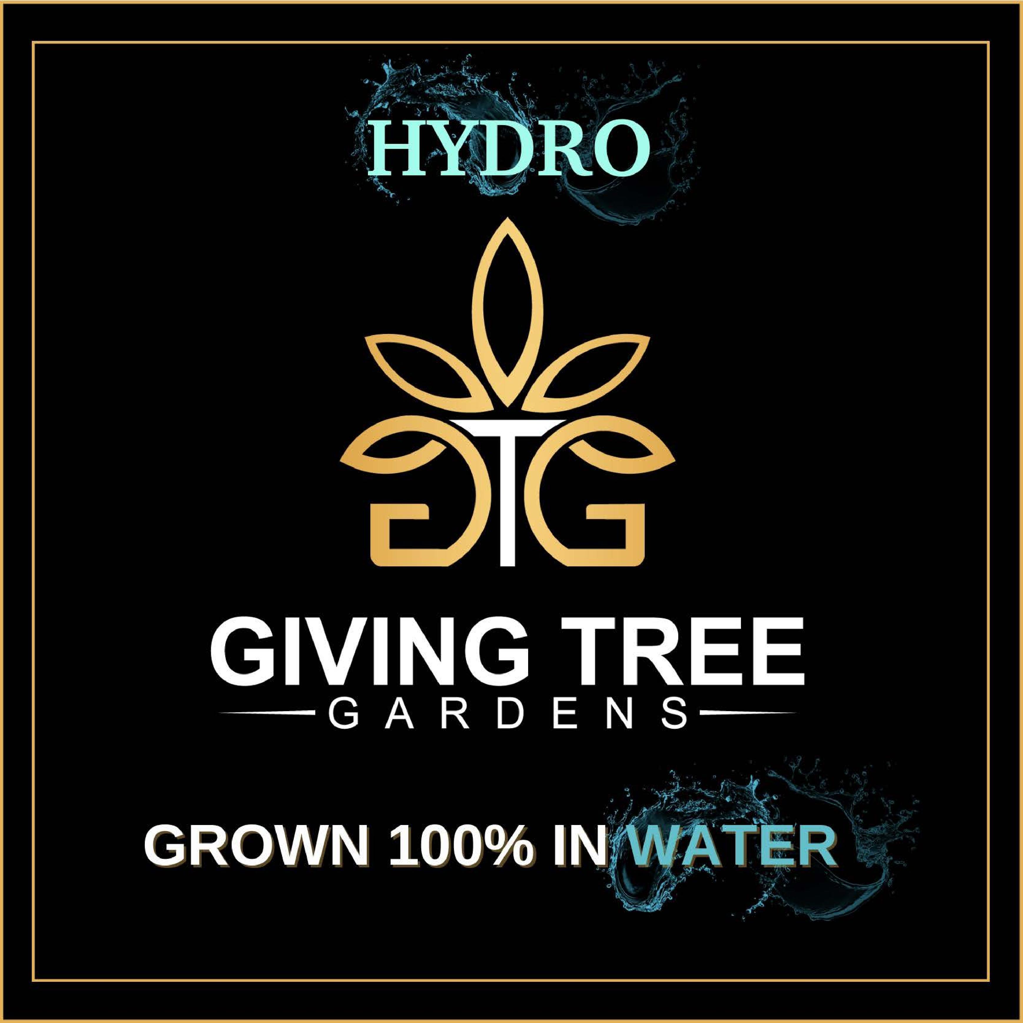 Logo for img-fluid: Giving Tree Gardens