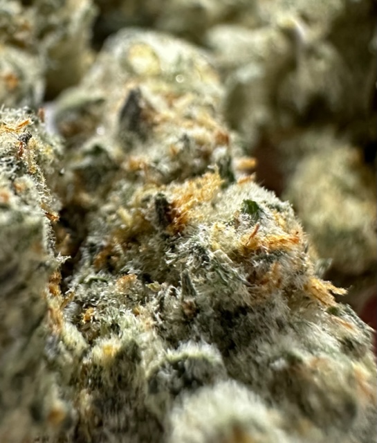 Photograph of product: High Plains / Deli / The Keeper - 1g