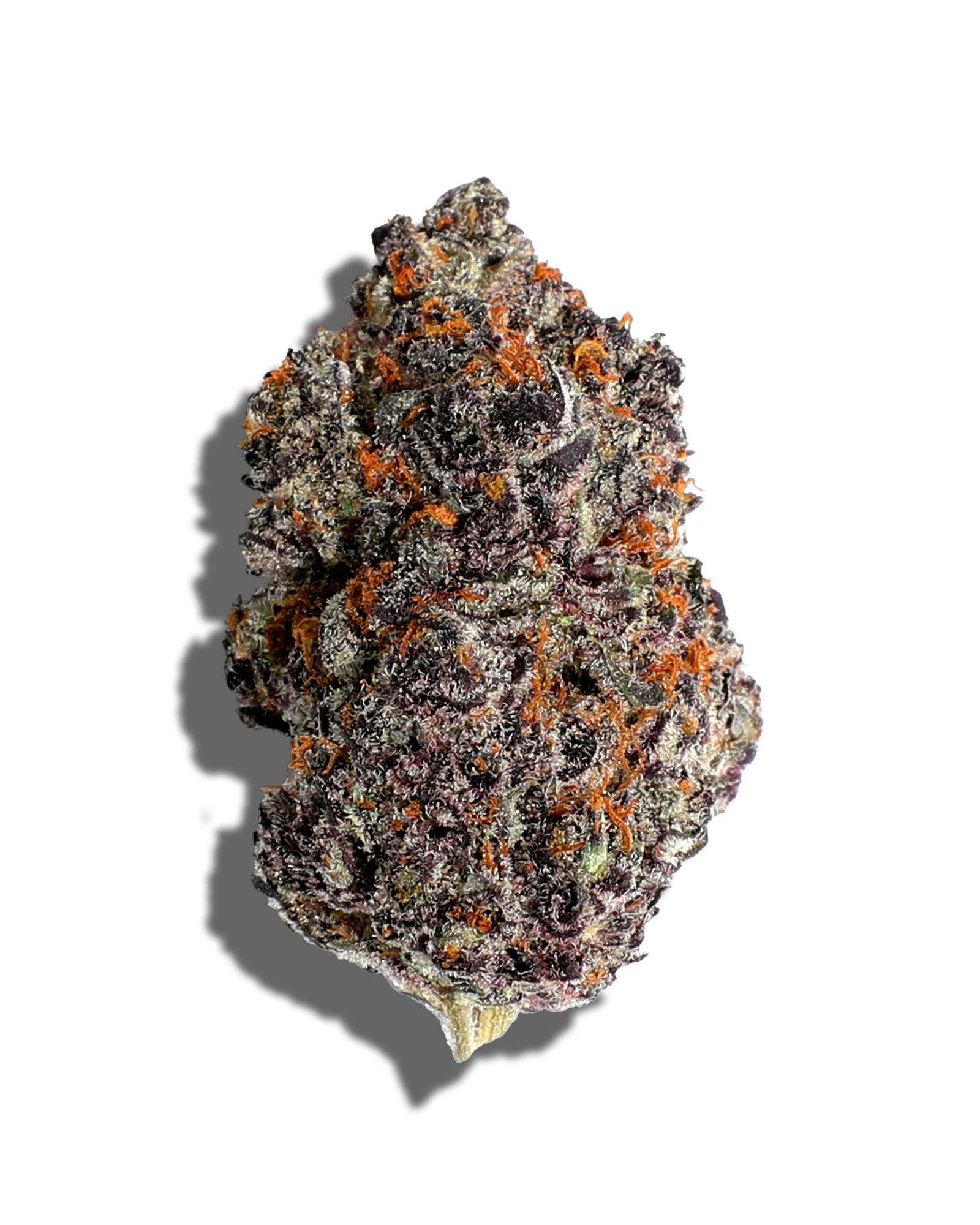 Photograph of product: Breakfast Of Champions 1oz