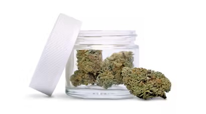 Photograph of product: Breakfast Connections | Lemon Haze | 3.5G Flower