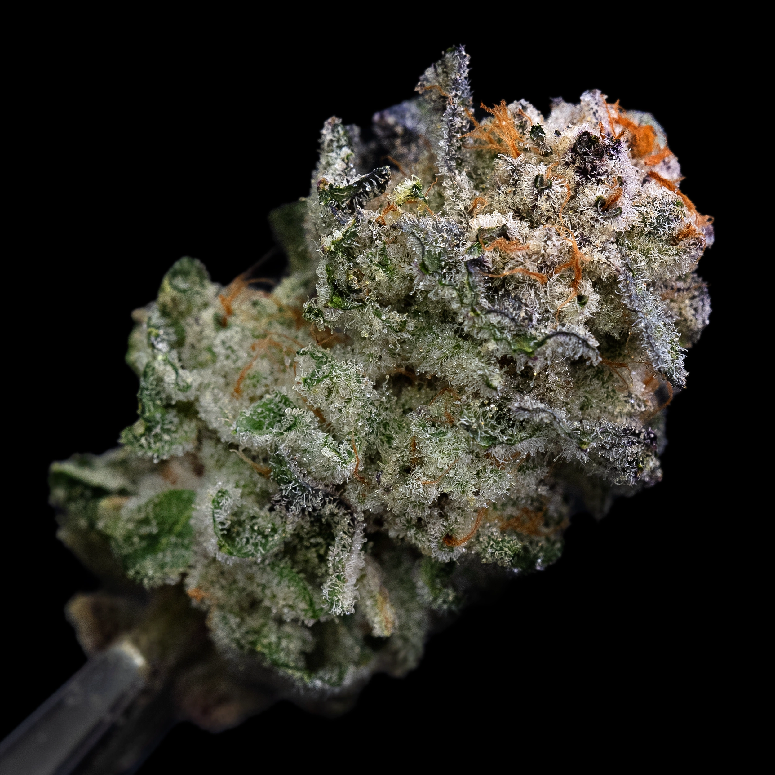 Photograph of Product: 3.5g Cap Junky - Living Soil Cannabis - Upstate Elevator Operators