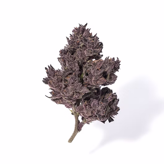 Photograph of product: Blackstrap | . - .7g