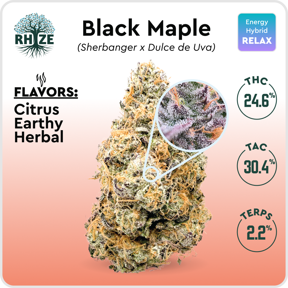 Photograph of Product: Black Maple - 7g