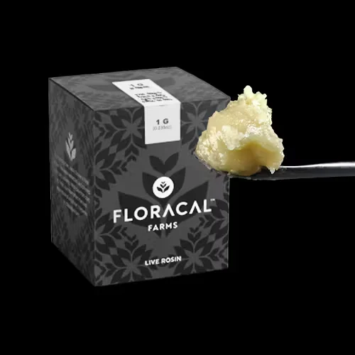 Photograph of product: FLORACAL Live Rosin Jam 1g: Papaya Fumez