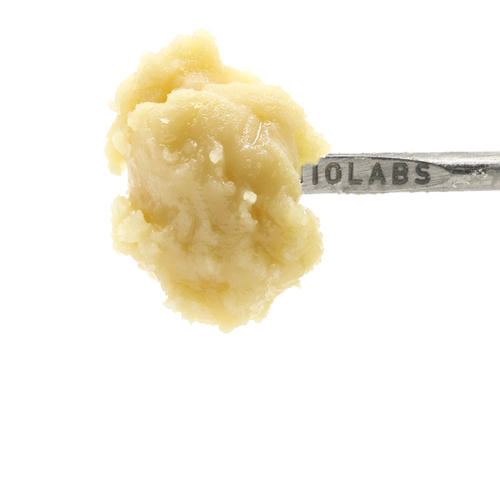 Photograph of product: Live Rosin-  Gorilla Runtz #2