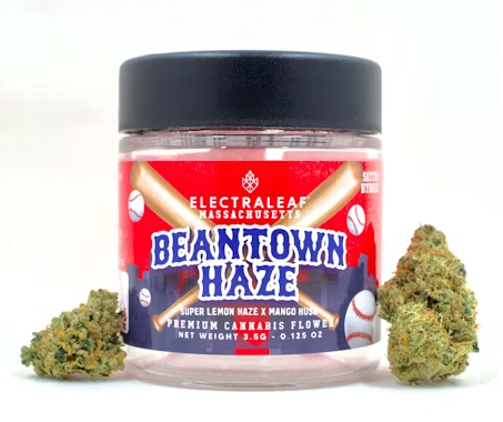 Photograph of product: Beantown Haze Flower - 3.5g