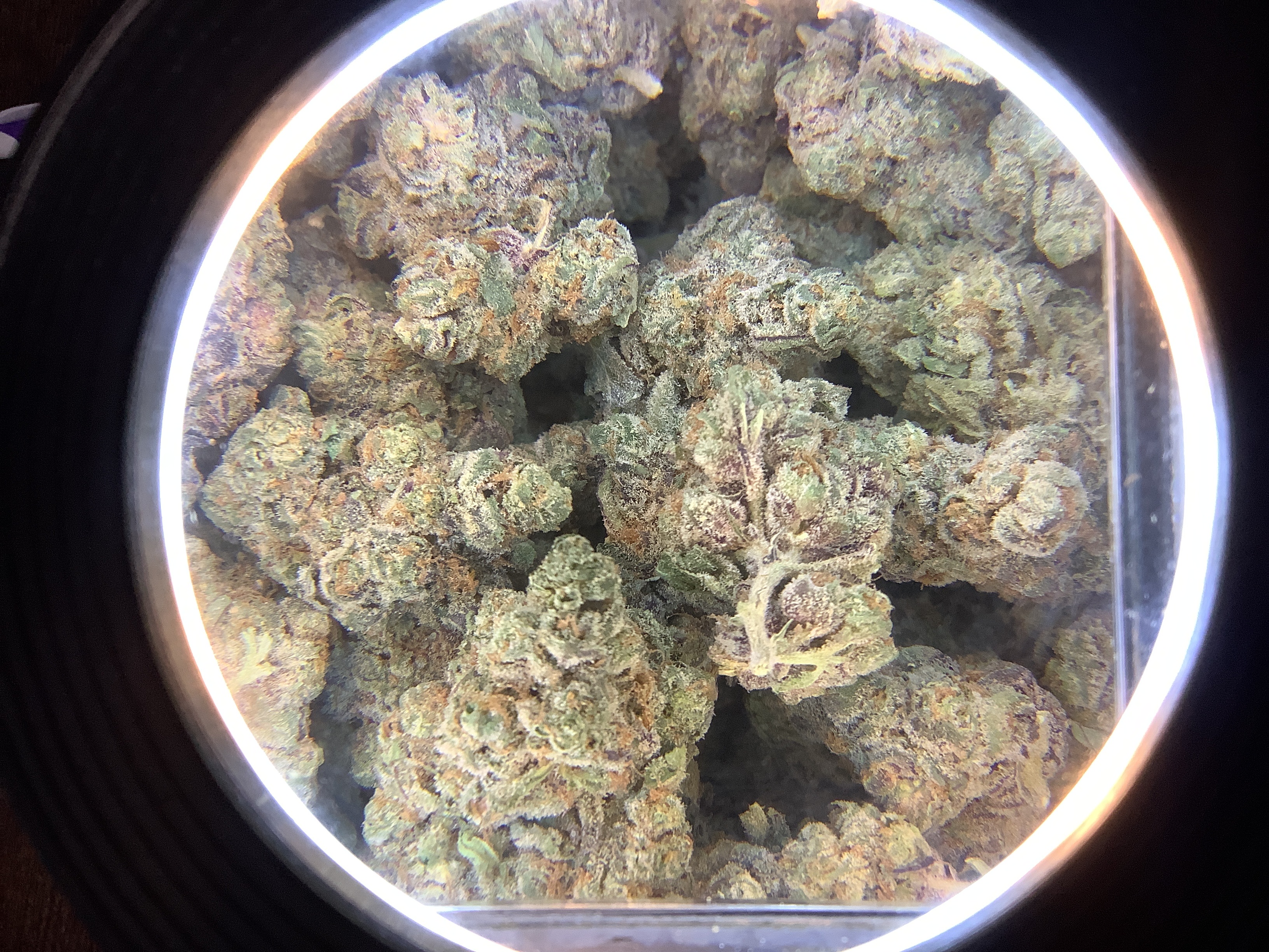 Photograph of product: Folium Farms | APPLE FRITTER - 28g
