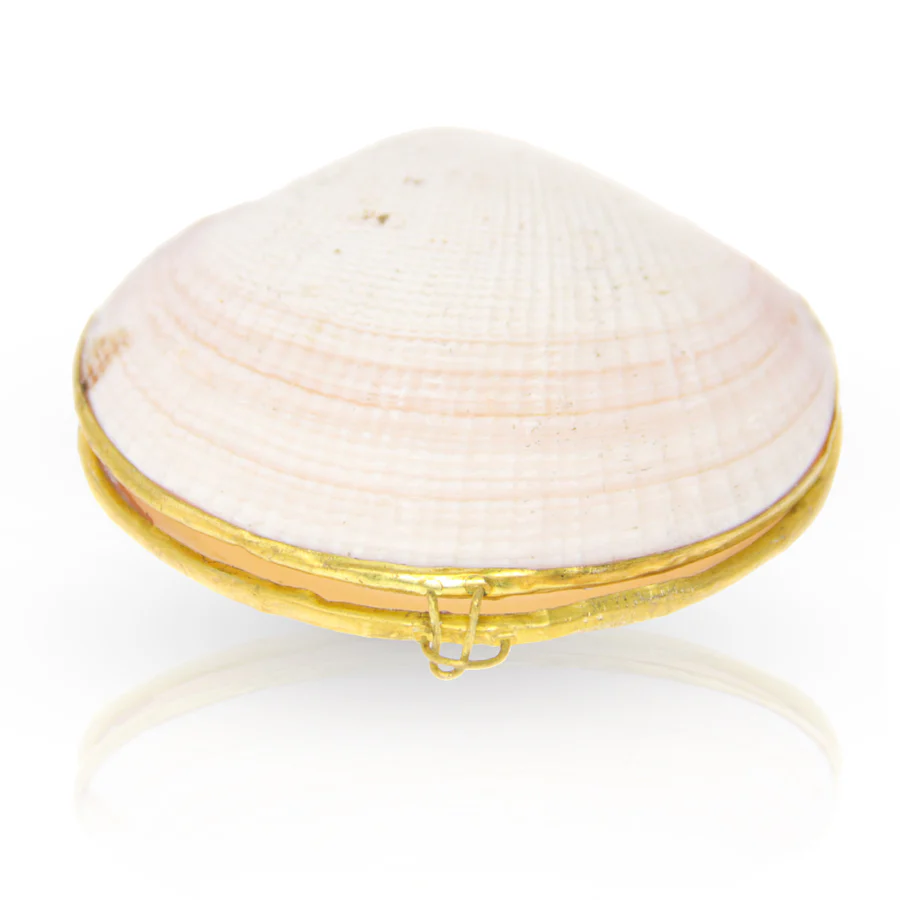 Photograph of product: My Bud Vase Stash Shell-White