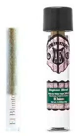 Photograph of product: Daytona Diesel [H] - Rose au chocolat Jointo