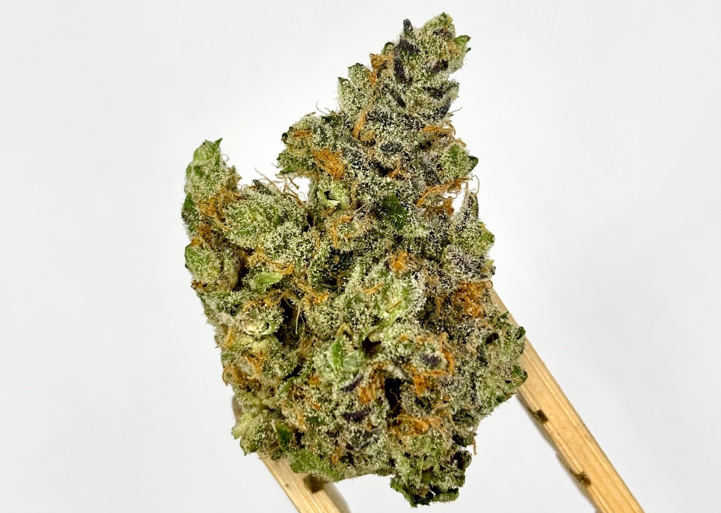 Photograph of product: SUPERB OUID! | TROPICANA BX #1 | BULK FLOWER - 1g