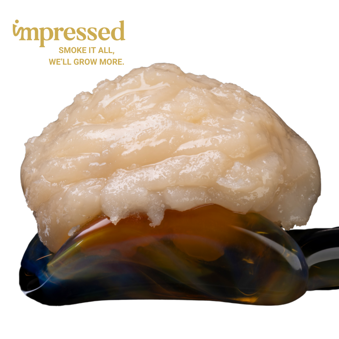 Photograph of product: Banana Crush | Live Rosin