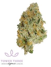 Photograph of product: TOWER THREE | EAST COAST IRENE (H) - 3.5g