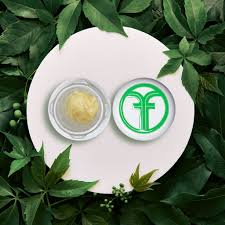 Photograph of product: Freshy Fine - au chocolat Rosin - GG4 - 1g