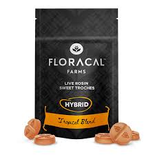 Photograph of product: 10ct/10mg Live Rosin Troches (Tropical Blend)