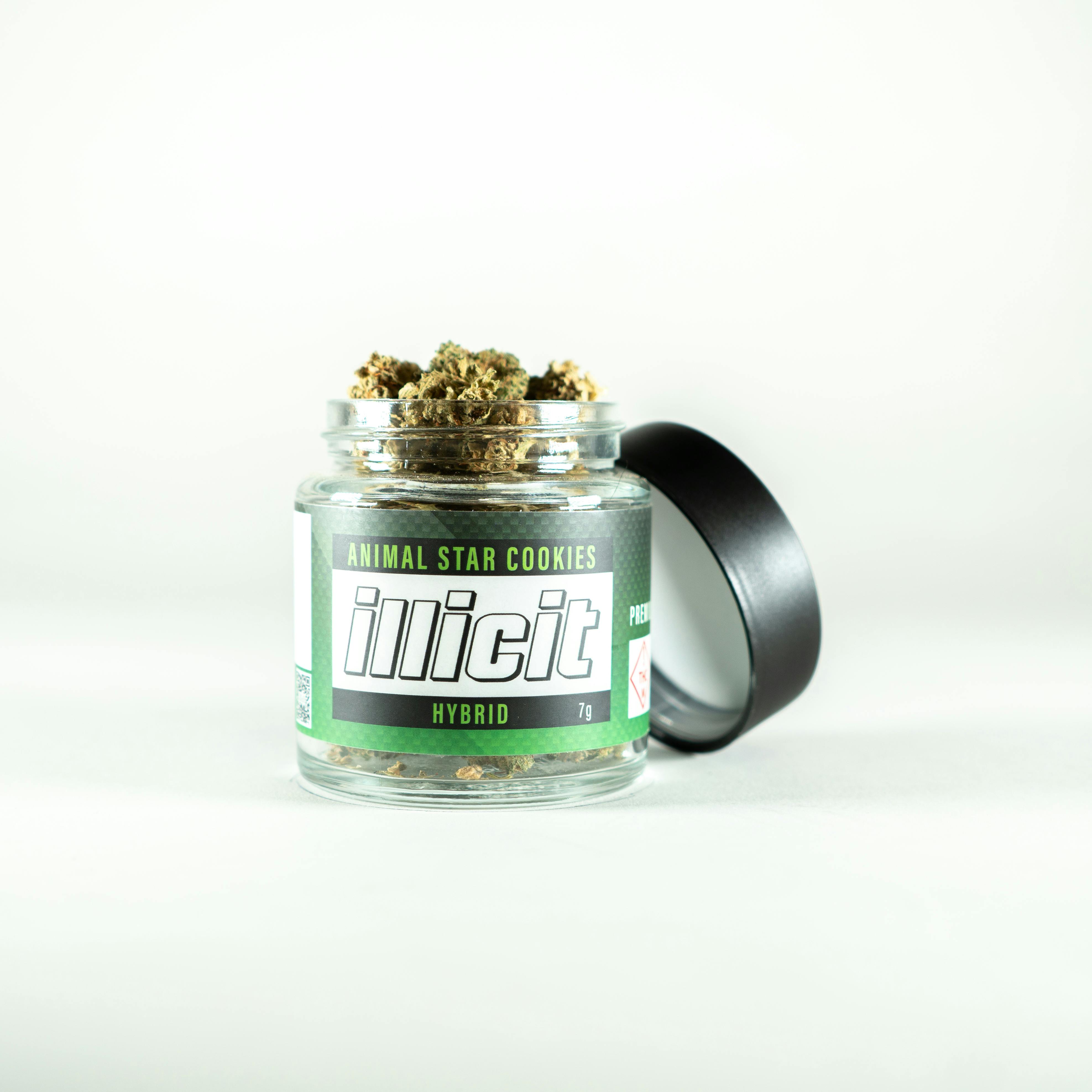 Photograph of product: Platinum Shelf - Illicit - Animal Star Cookies (H) - 3.5g