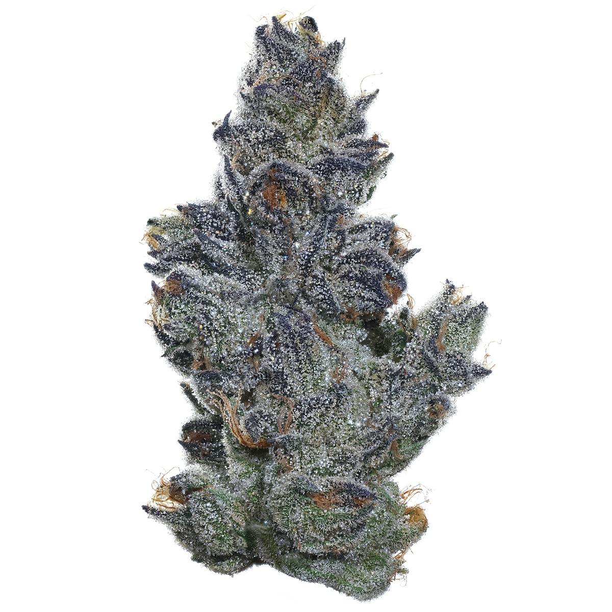 Photograph of product: FigFarms - Sour Cherry Pie 3.5g