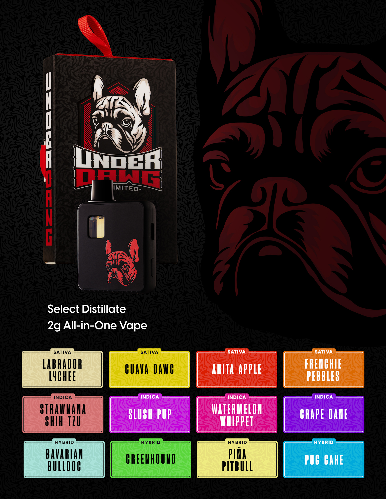Photograph of product: Bavarian Bulldog | AIO