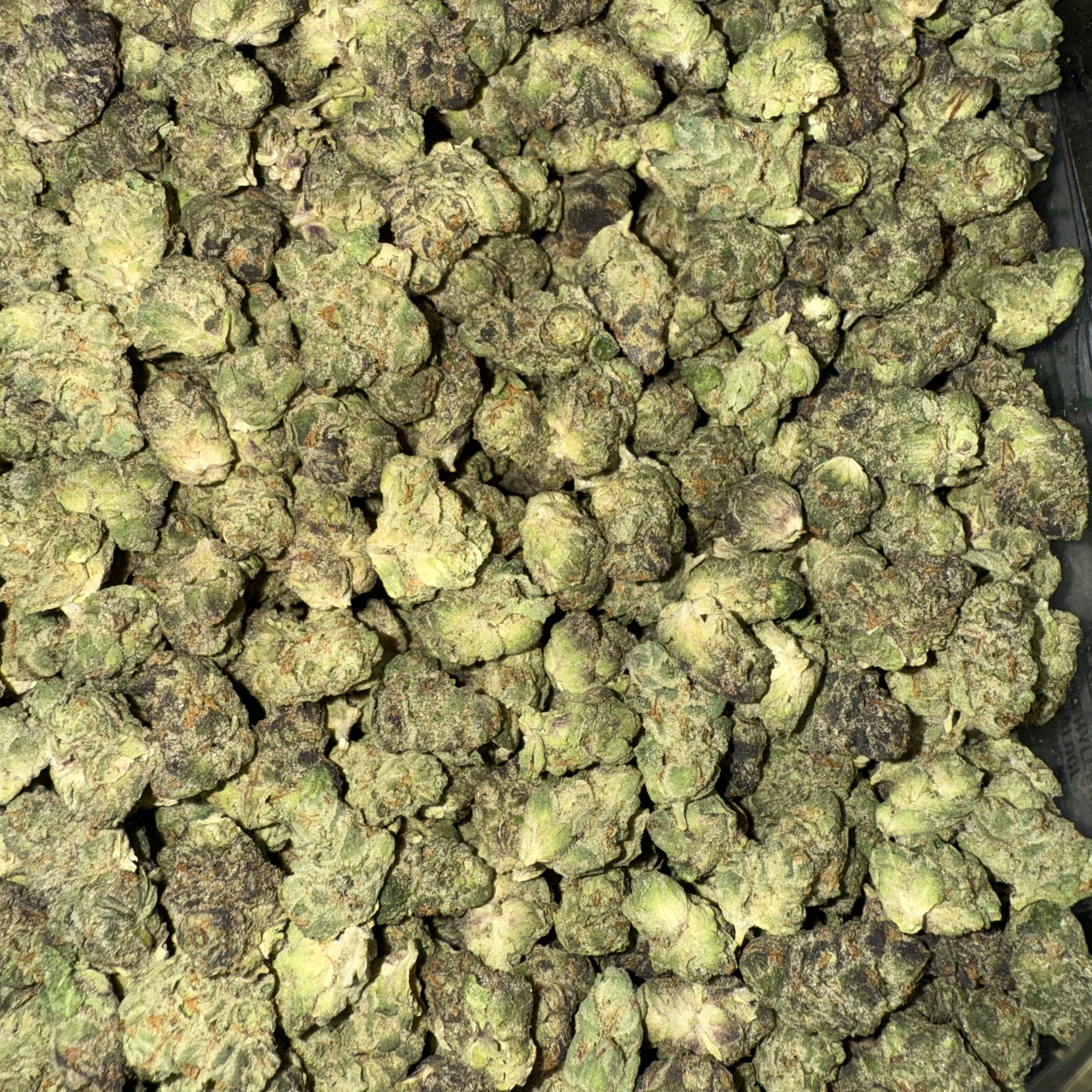 Photograph of product: GOLDKINE | Bulk Flower | Jealousy | Smalls - 28g